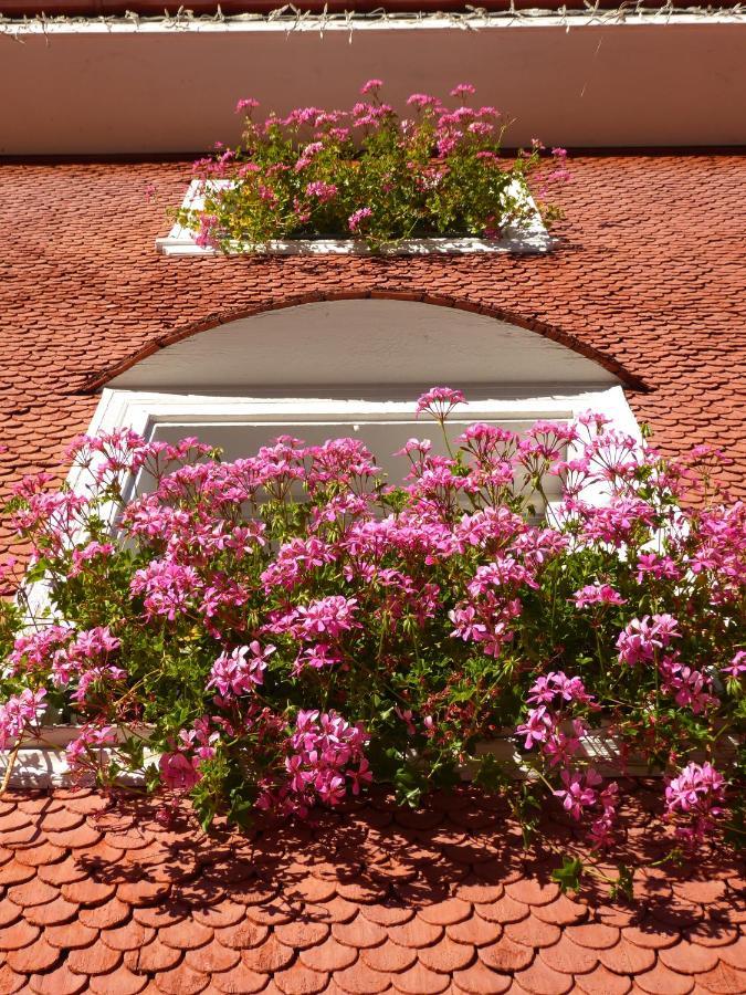 Villa Vidal Villabassa Dış mekan fotoğraf